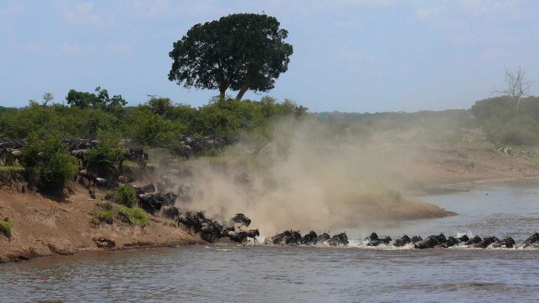 Tanzania Safaris