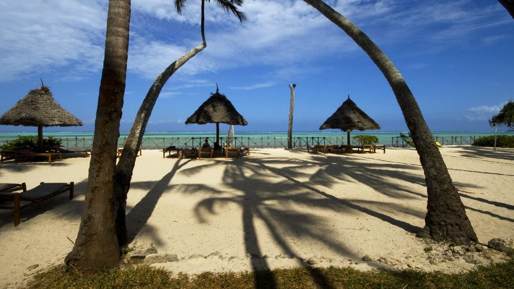 Tanzania Safari and Zanzibar Beach (12 days)