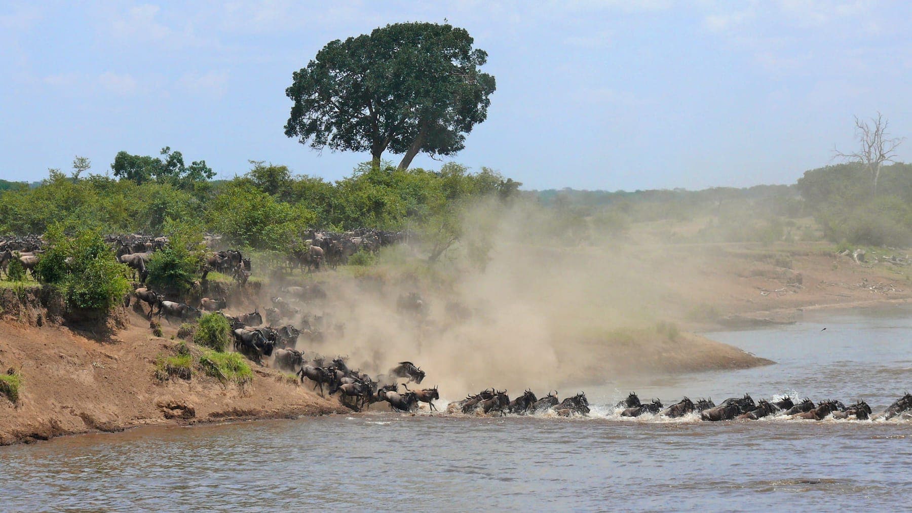 Serengeti Wildebeest Migration Safari (10 days)