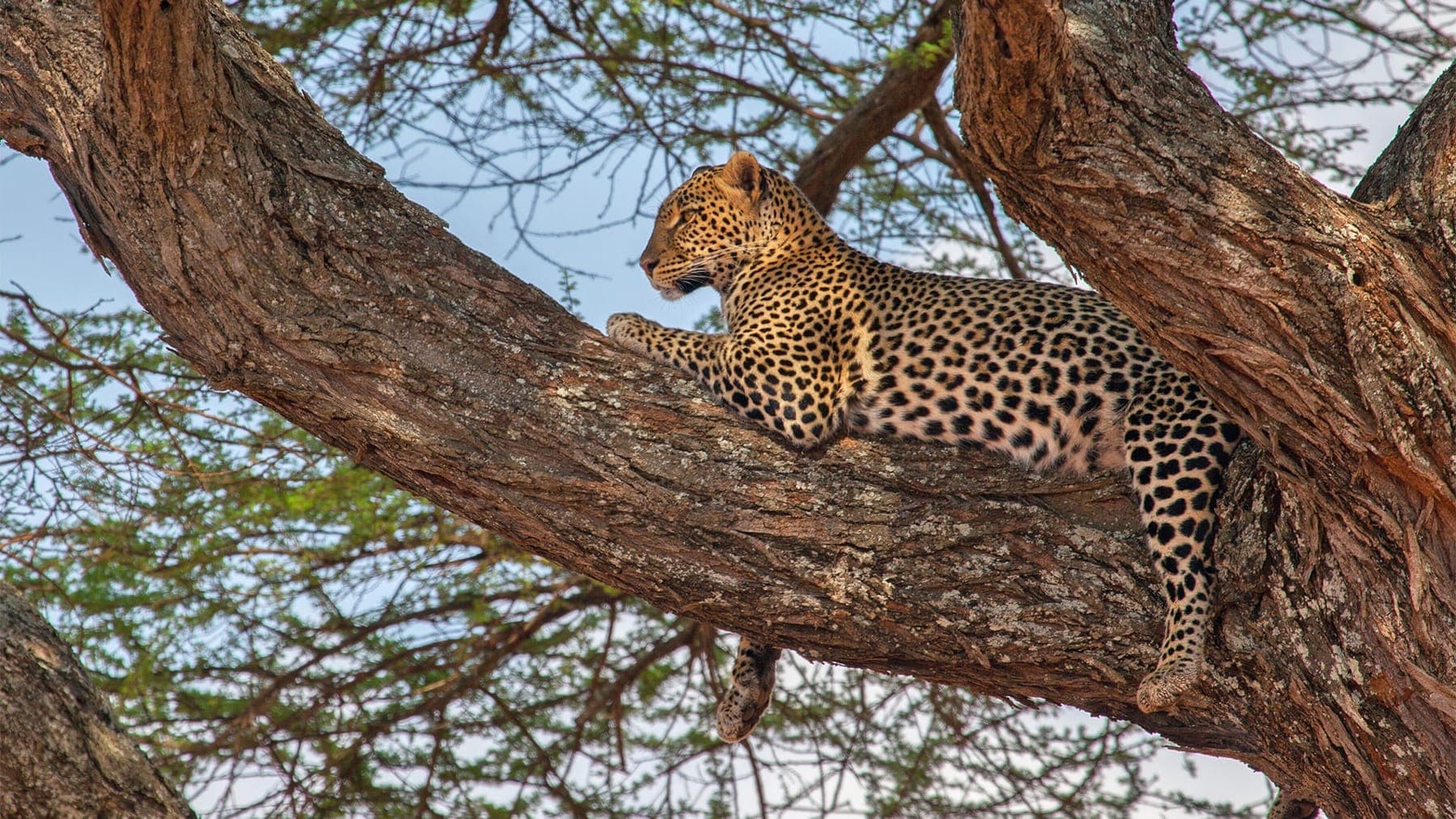 Tanzania Highlights Safari (8 days)
