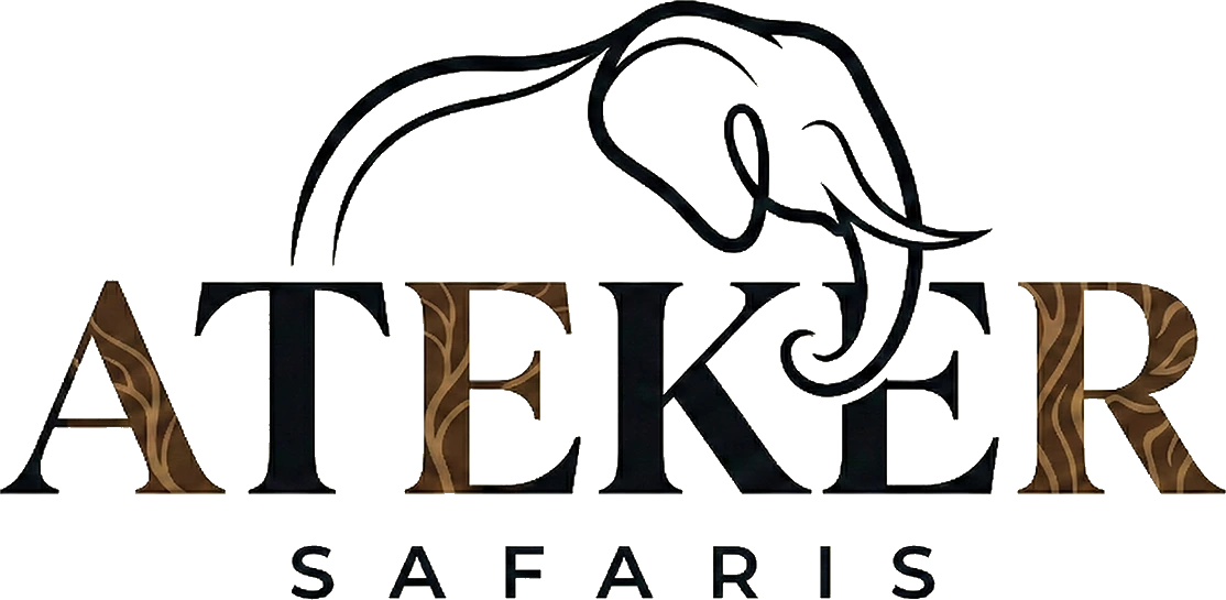 Ateker Safaris