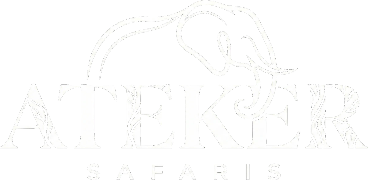 Ateker Safaris